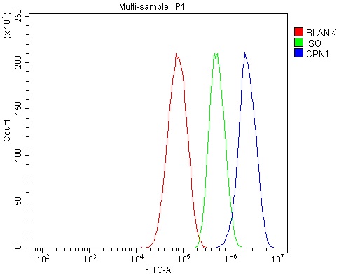 a05704 2 cpn1 primary antibodies fcm testing 3