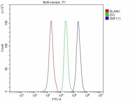 a05708 1 rnf111 primary antibodies fcm testing 5