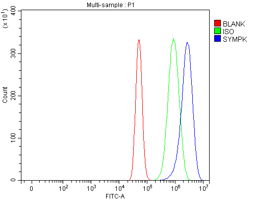 a05709 1 sympk primary antibodies fcm testing 8