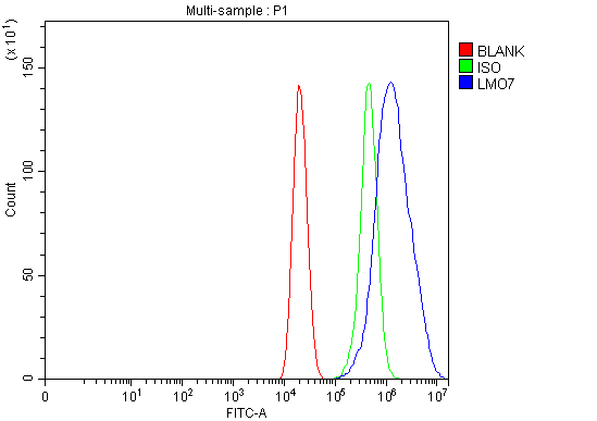  Flow Cytometry analysis of Caco-2 cells using anti-LMO7 antibody (A05712-2)