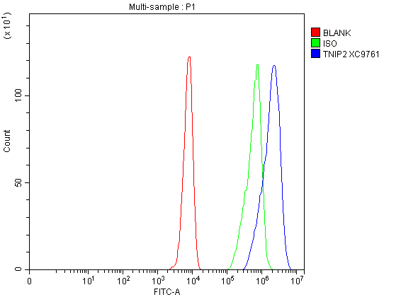a05716 2 tnip2 primary antibodies fcm testing 1