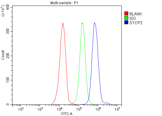 a05718 3 sycp3 primary antibodies fcm testing 6