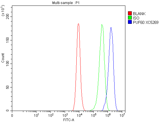a05744 2 puf60 primary antibodies fcm testing 4