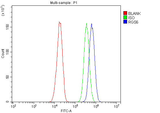 a05753 1 rgs6 primary antibodies fcm testing 7