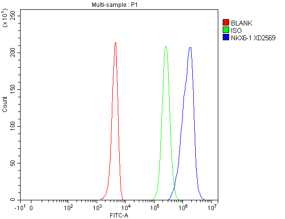 a05760 1 nkx6 1 primary antibodies fcm testing 1