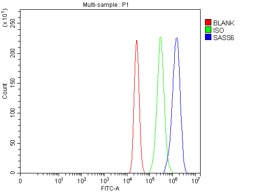 a05762 1 sass6 primary antibodies fcm testing 15