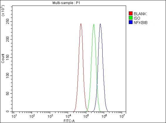  Flow Cytometry analysis of PC-3 cells using anti-IkB Beta/NFKBIB antibody (A05766-1)