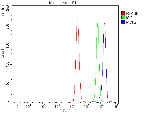 a05775 1 dbl primary antibodies fcm testing 2