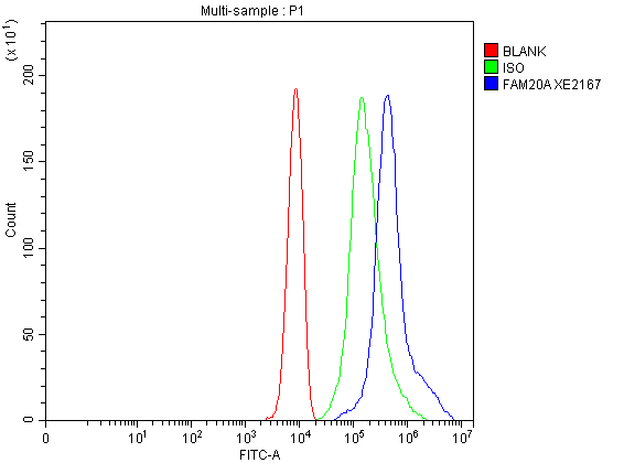 Flow Cytometry analysis of HepG2 cells using anti-FAM20A antibody (A05777-1)