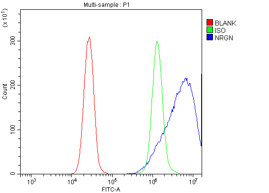 a05781 3 nrgn primary antibodies fcm testing 2