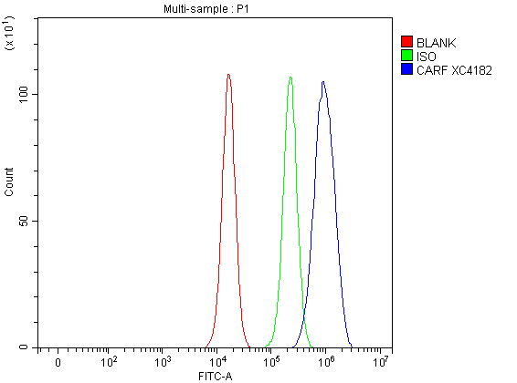 Flow Cytometry analysis of NIH/3T3 cells using anti-CDKN2AIP/CARF antibody (A05786-1)