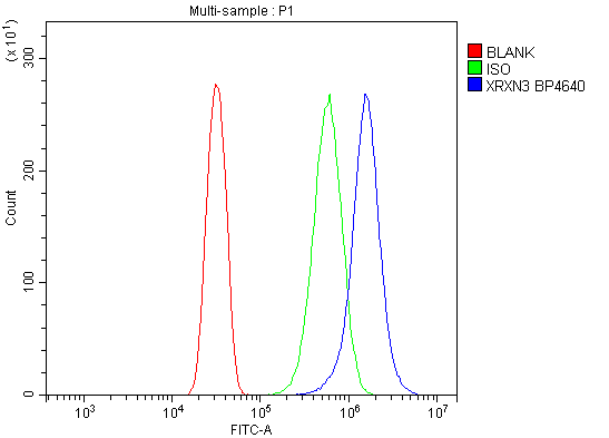 a05791 1 nrxn3 primary antibodies fcm testing 2