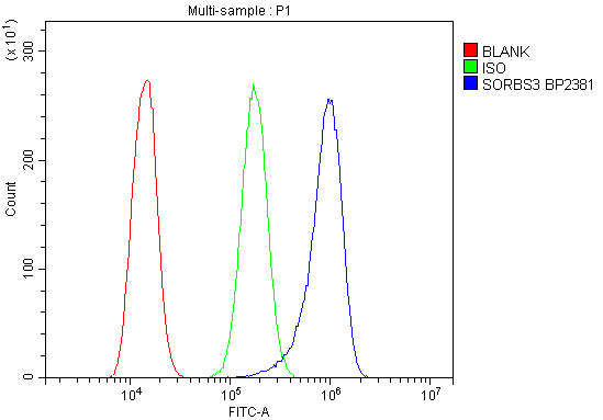 a05794 sorbs3 primary antibodies fc testing 8