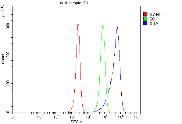 a05796 3 clta primary antibodies fcm testing 1
