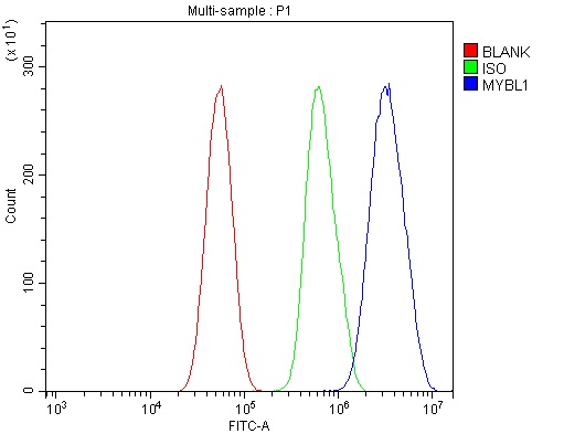 a05803 2 mybl1 primary antibodies fcm testing 2