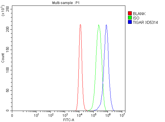 a05811 2 tigar primary antibodies fcm testing 1