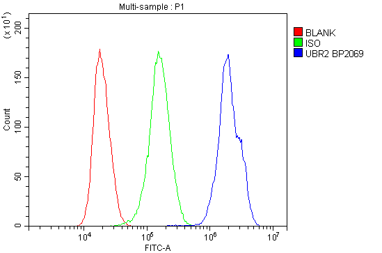 a05812 2 ubr2 primary antibodies fc testing 6
