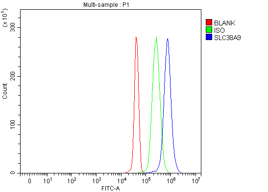  Flow Cytometry analysis of JK cells using anti-SLC38A9 antibody (A05824-2)