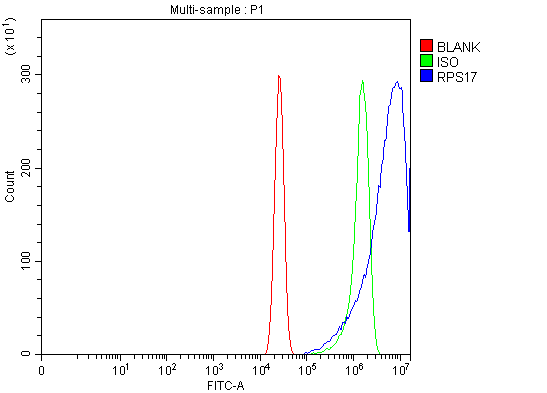 a05831 1 rps17 primary antibodies fcm testing 3