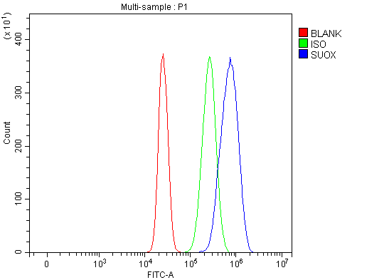  Flow Cytometry analysis of HepG2 cells using anti-Sulfite oxidase/SUOX antibody (A05838)