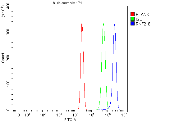  Flow Cytometry analysis of HepG2 cells using anti-RNF216 antibody (A05841-1)