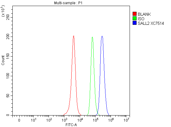 a05853 1 sall2 primary antibodies fcm testing 1