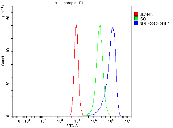 a05867 2 ndufs3 primary antibodies fcm testing 5