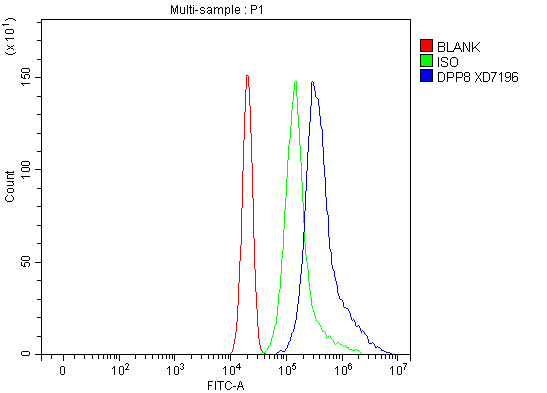 Flow Cytometry analysis of RT4 cells using anti-DPP8 antibody (A05875-1)