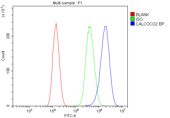 a05876 1 calcoco2 primary antibodies fcm testing 5