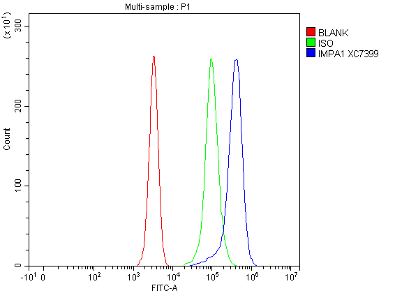 Flow Cytometry analysis of Jurkat cells using anti-IMPA1 antibody (A05882-2)