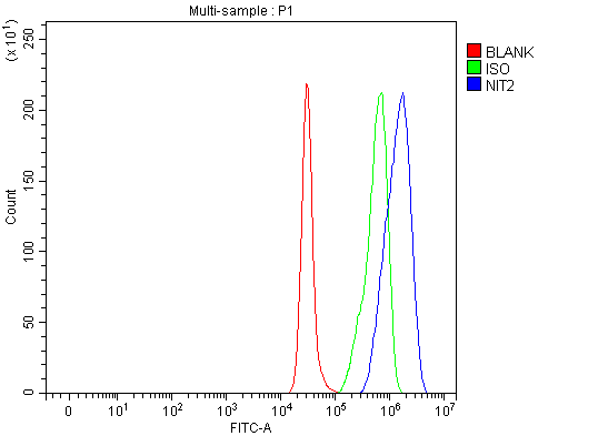 a05891 3 nit2 primary antibodies fcm testing 6