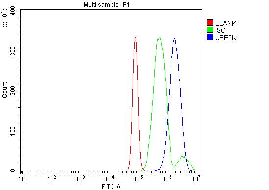 a05895 2 ube2k primary antibodies fcm testing 2