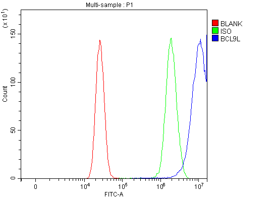 a05905 bcl9l primary antibodies fcm testing 1