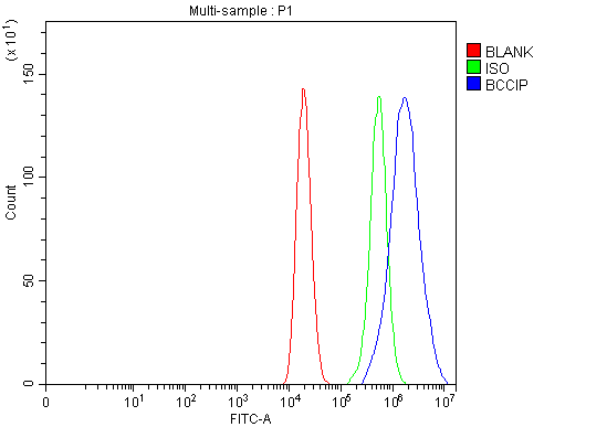 a05912 2 bccip primary antibodies fcm testing 9