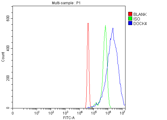 a05916 1 dock4 primary antibodies fcm testing 3