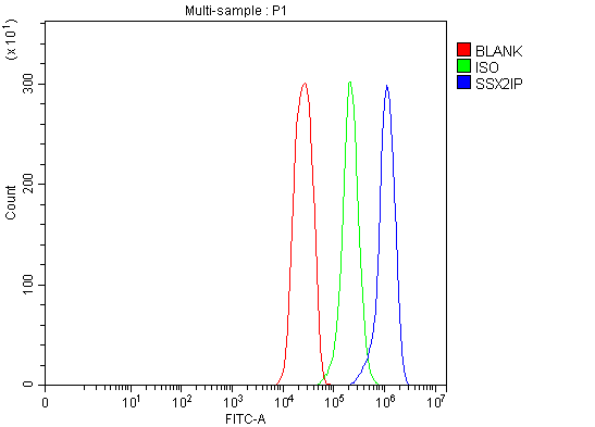 a05918 1 ssx2ip primary antibodies fcm testing 5