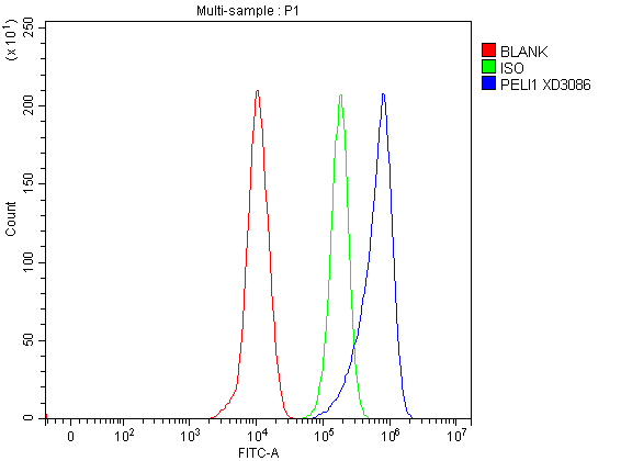 a05921 1 peli1 primary antibodies fcm testing 2