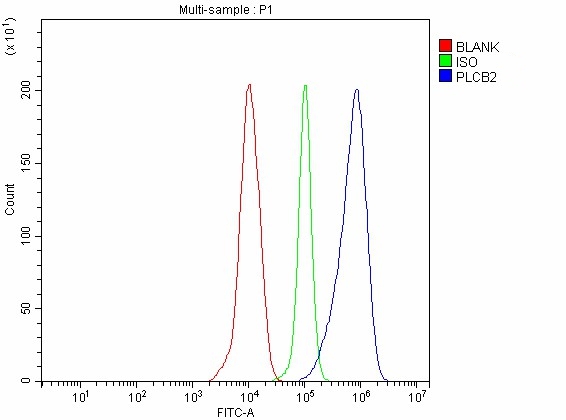  Flow Cytometry analysis of THP-1 cells using anti-PLCB2 antibody (A05927-2)
