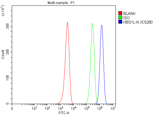  Flow Cytometry analysis of HEL cells using anti-HBS1L antibody (A05929-1)