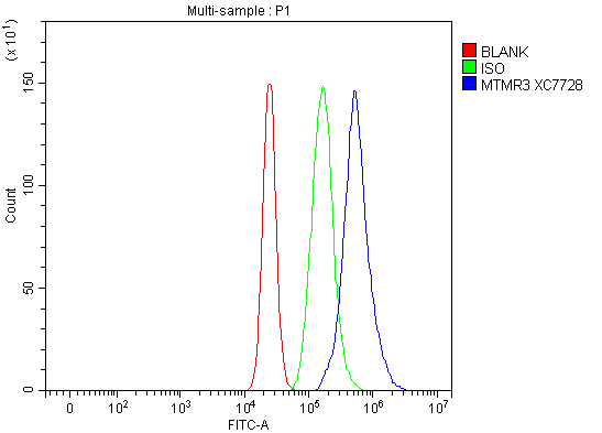 a05937 1 mtmr3 primary antibodies fcm testing 1