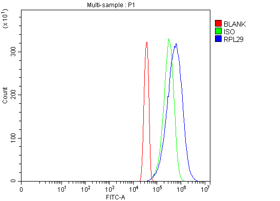 a05949 1 rpl29 primary antibodies fcm testing 5