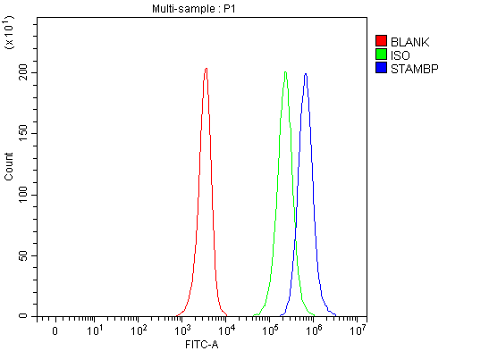 a05964 1 stambp primary antibodies fcm testing 10
