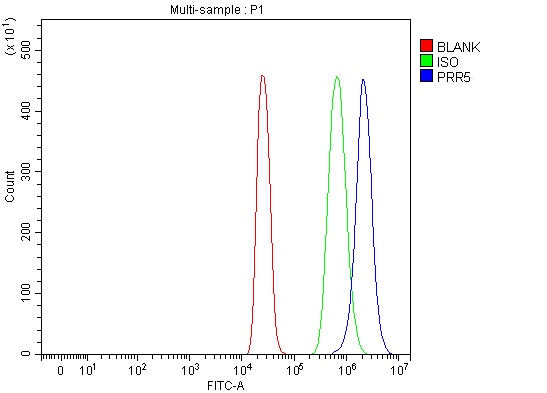  Flow Cytometry analysis of 293T cells using anti-PRR5 antibody (A05975-1)