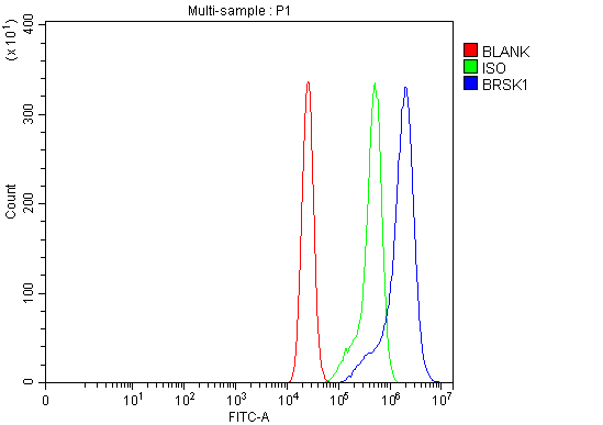 a05997 2 brsk1 primary antibodies fcm testing 7