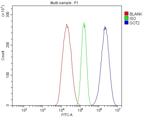 a05998 1 got2 primary antibodies fcm testing 4