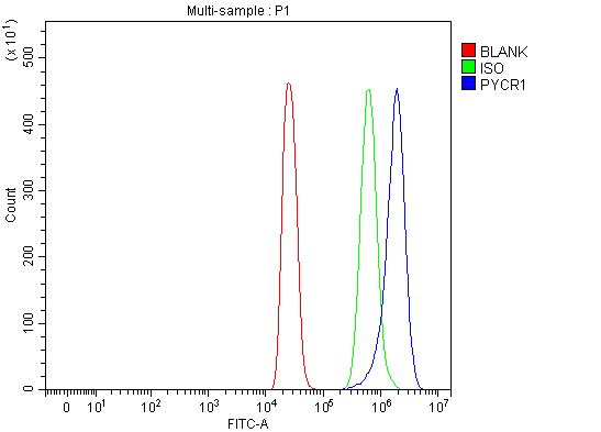 a06018 1 pycr1 primary antibodies fcm testing 6