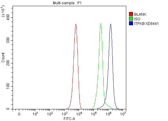 Flow Cytometry analysis of K562 cells using anti-ITPKB antibody (A06023-2)