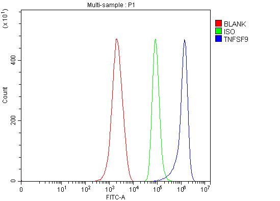  Flow Cytometry analysis of ANA-1 cells using anti-4-1BBL/Tnfsf9 antibody (A06032-2)