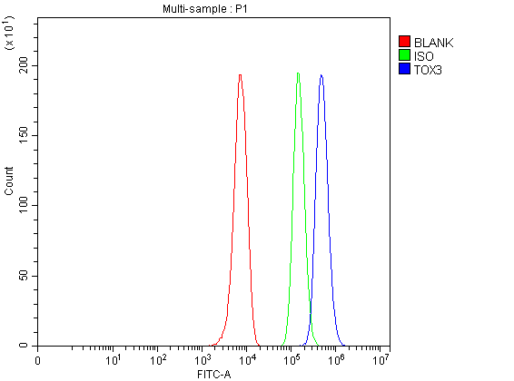  Flow Cytometry analysis of HepG2 cells using anti-TOX3 antibody (A06035-1)