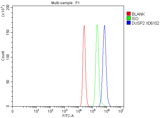 a06043 1 dusp2 primary antibodies fcm testing 1